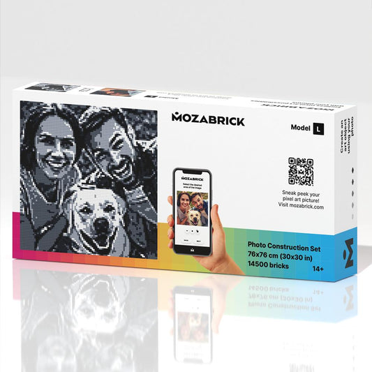 Mozabrick Model L