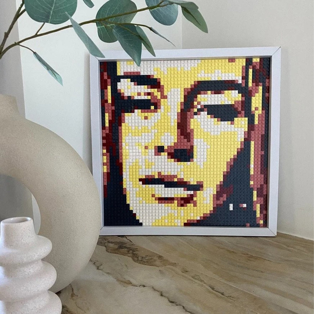 Qbrix Solar Photo Construction Set